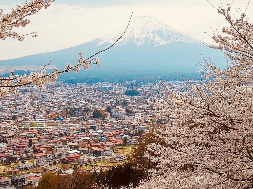 【2023東京】坐富士回遊和富士山的近距離接觸