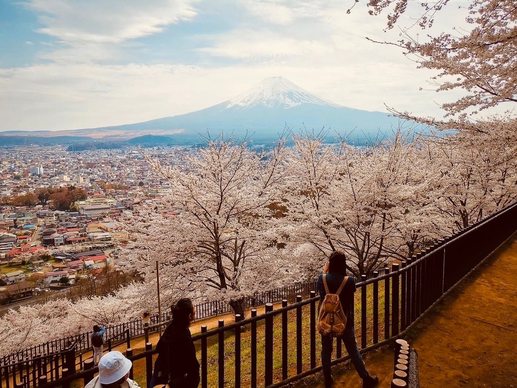 【2023東京】坐富士回遊和富士山的近距離接觸