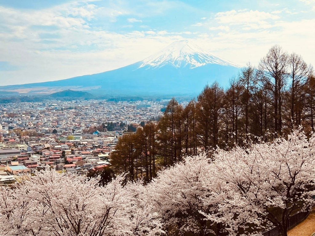 【2023東京】坐富士回遊和富士山的近距離接觸