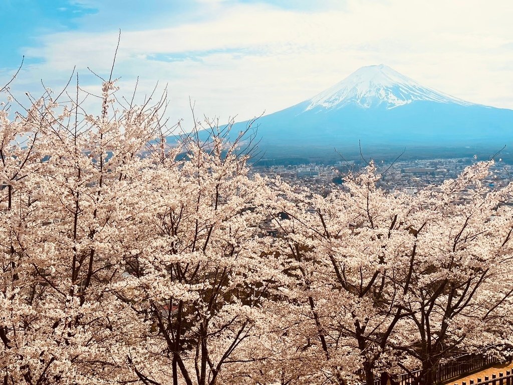 【2023東京】坐富士回遊和富士山的近距離接觸