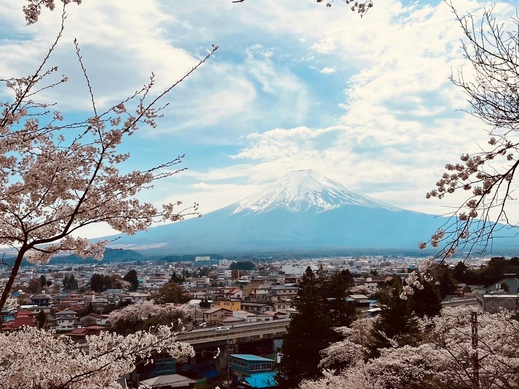 【2023東京】坐富士回遊和富士山的近距離接觸