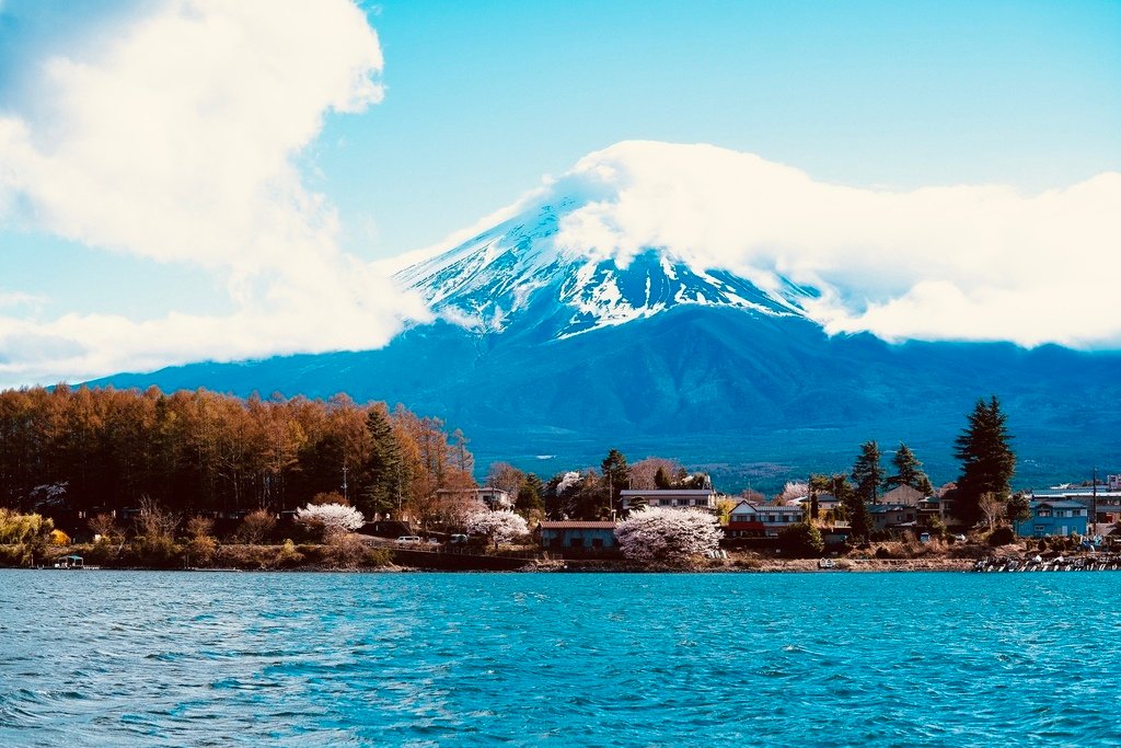 【2023東京】坐富士回遊和富士山的近距離接觸