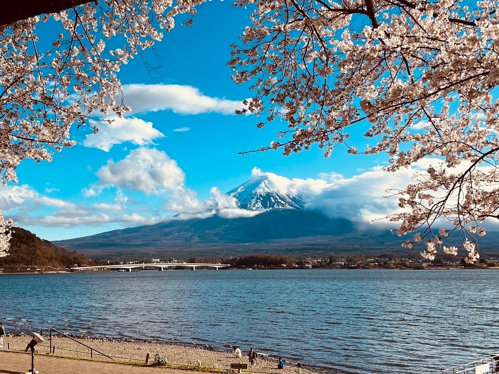 【2023東京】坐富士回遊和富士山的近距離接觸