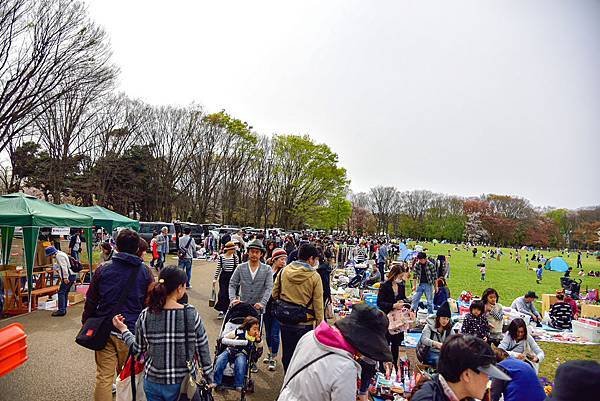DSC_3738-4.jpg
