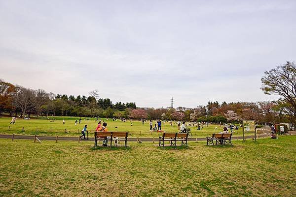 DSC_3863-98.jpg