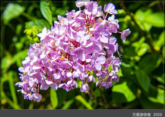 DSC_5005_副本.jpg