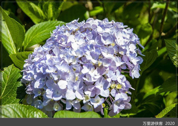DSC_5010_副本.jpg
