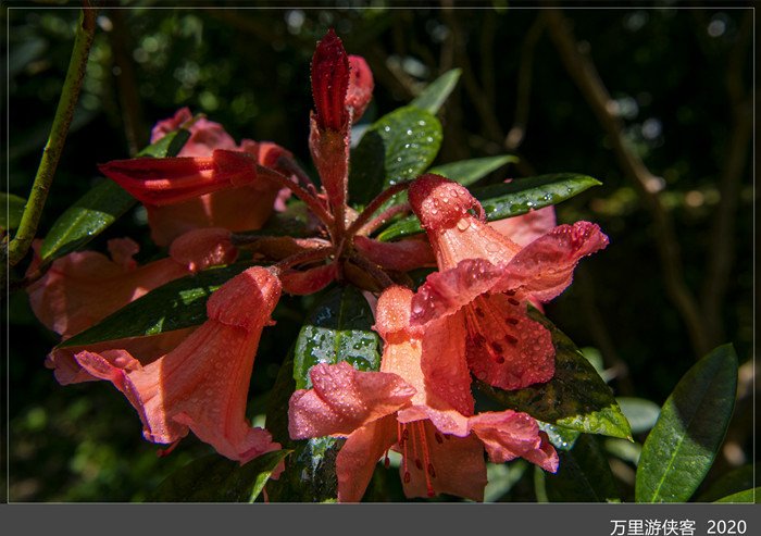 DSC_5045_副本.jpg