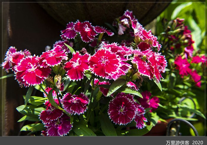 DSC_5042_副本.jpg