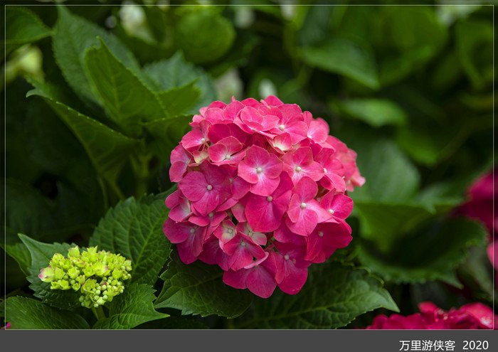 DSC_5065_副本.jpg