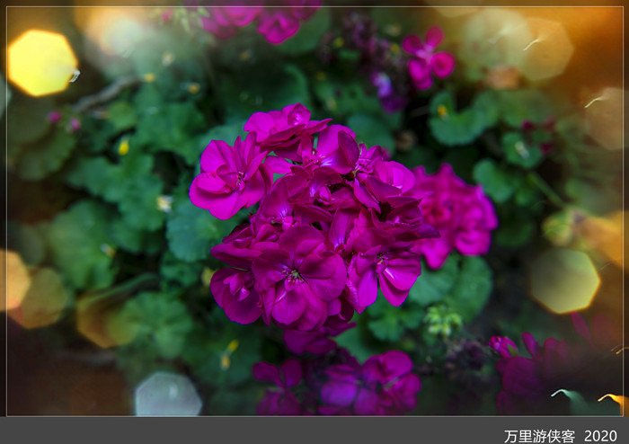 DSC_5054_副本.jpg