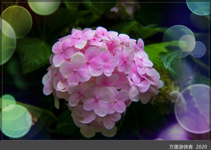DSC_5052_副本.jpg