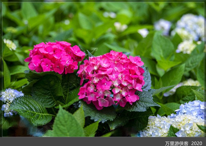 DSC_5068_副本.jpg