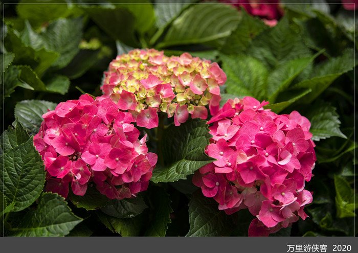 DSC_5084_副本.jpg