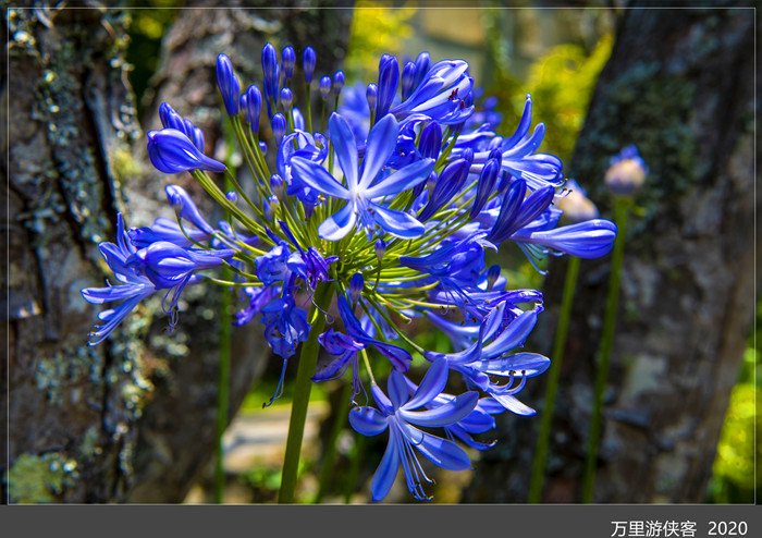 DSC_5059_副本.jpg