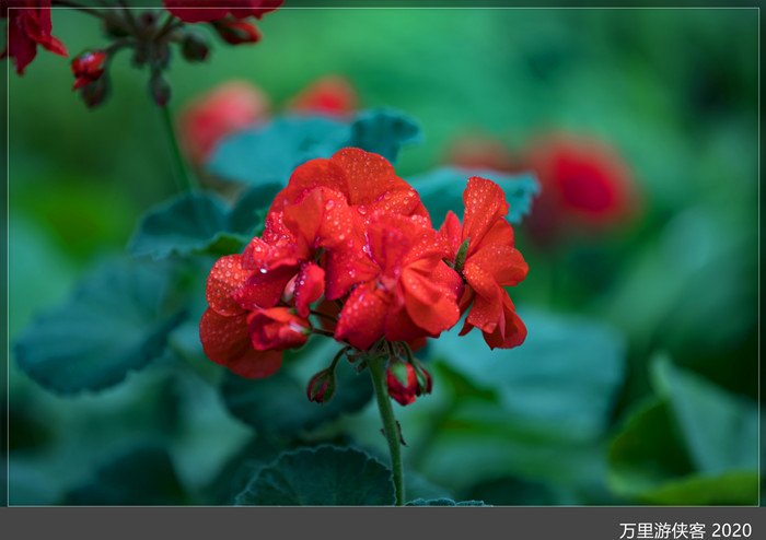 DSC_5092_副本.jpg