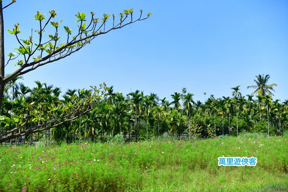 DSC_0369_副本.jpg