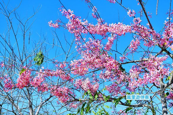DSC_0618_副本.jpg