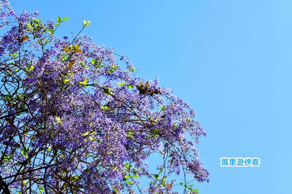 DSC_0597_副本.jpg