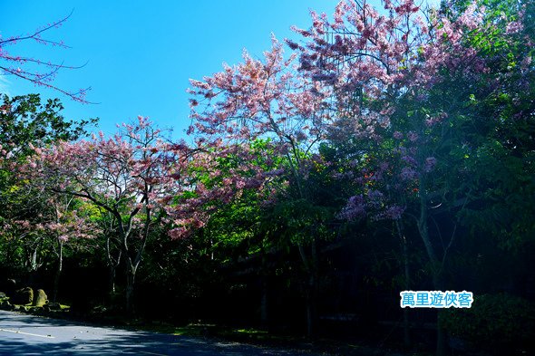 DSC_0616_副本.jpg
