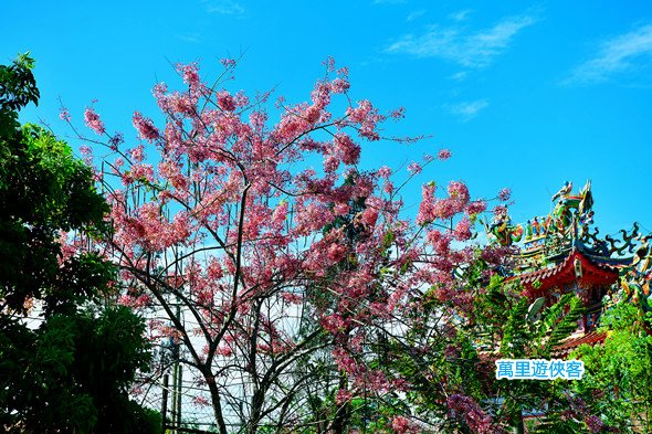 DSC_0617_副本.jpg