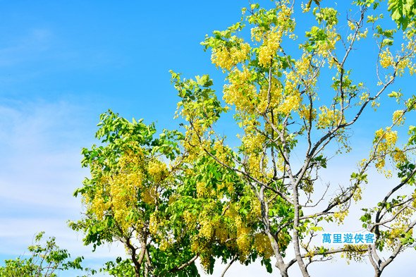 DSC_1037_副本.jpg