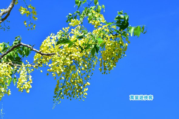 DSC_1042_副本.jpg