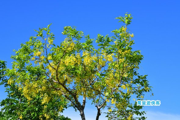 DSC_1036_副本.jpg