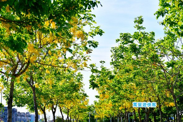 DSC_1076_副本.jpg