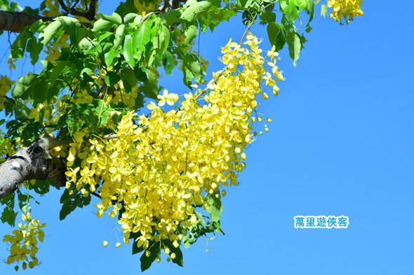DSC_1044_副本.jpg