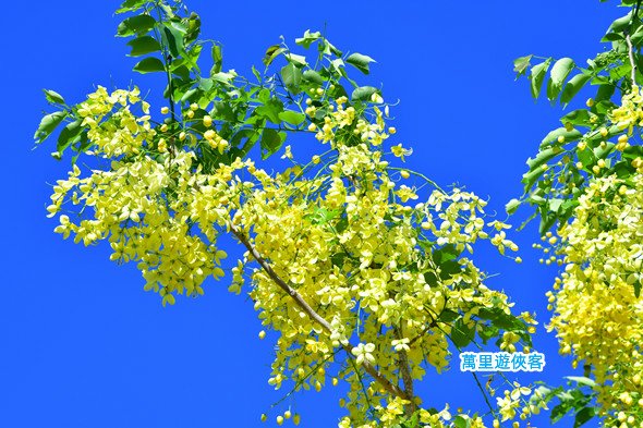 DSC_1043_副本.jpg