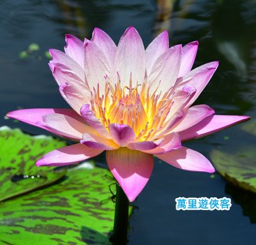DSC_1188_副本.jpg