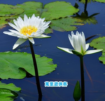 DSC_1180_副本.jpg