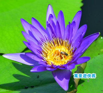 DSC_1183_副本.jpg