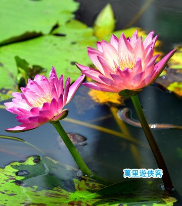 DSC_1192_副本.jpg