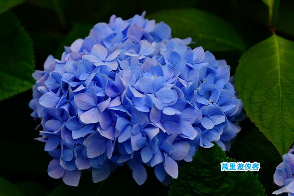 DSC_1240_副本.jpg