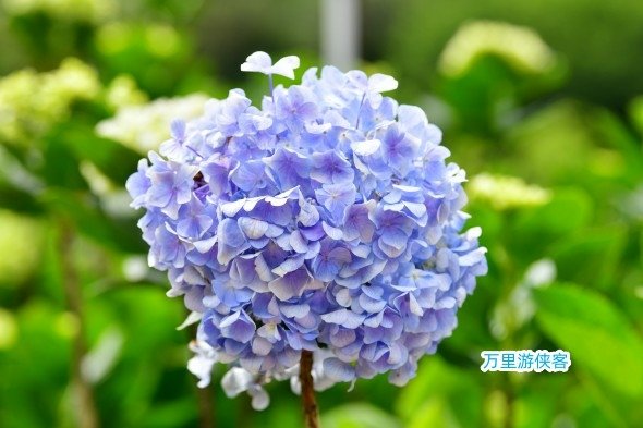 DSC_3006_副本.jpg