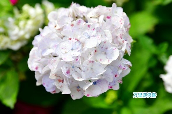 DSC_3015_副本.jpg