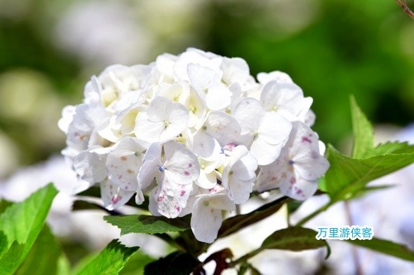 DSC_3023_副本.jpg