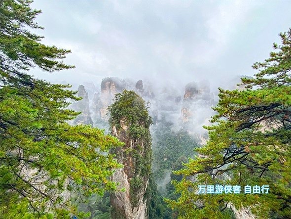 張家界國家森林公園 袁家界雨中自由行