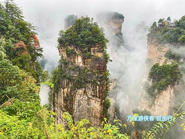 張家界國家森林公園 袁家界雨中自由行