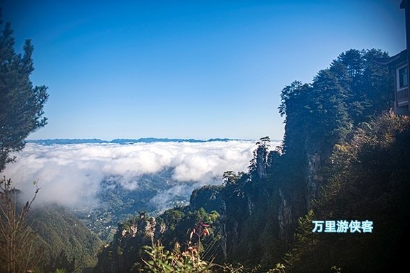 2024湖南張家界 天子山森林風景區 自由行