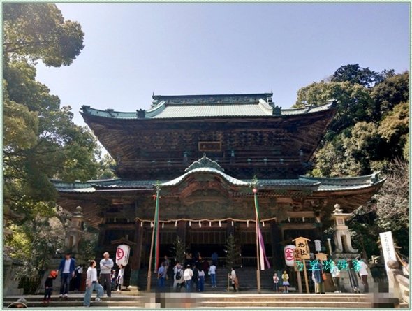 日本四國金刀毗羅宮櫻花