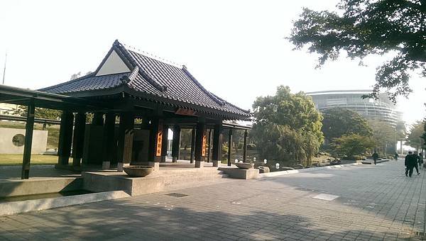 IMAG6547.jpg