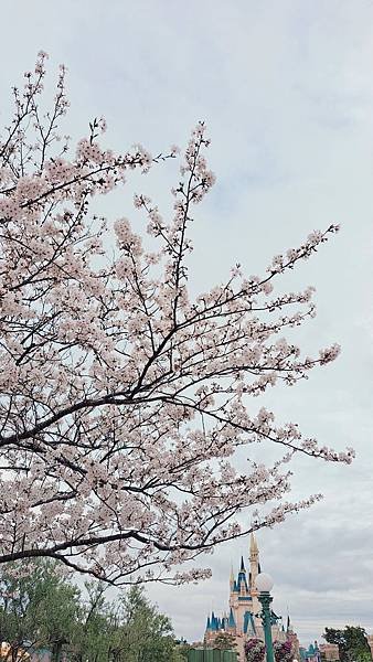 [東京]圓夢之旅DAY2-東京迪士尼樂園