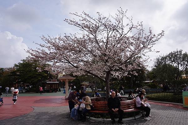 [東京]圓夢之旅DAY2-東京迪士尼樂園