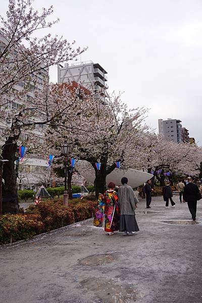 [東京]圓夢之旅DAY3-隅田公園櫻花季-晴空塔Sky Tr