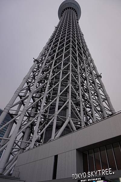 [東京]圓夢之旅DAY3-隅田公園櫻花季-晴空塔Sky Tr