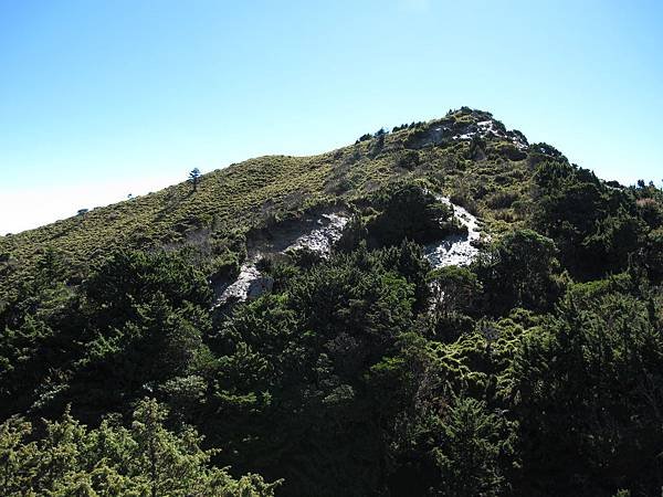 IMG_0219