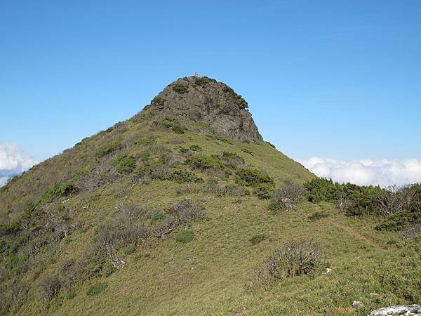 IMG_0245